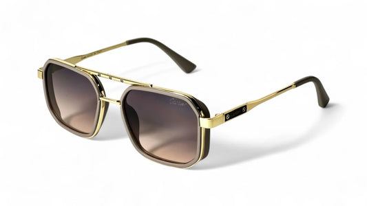 Everyday Elegance – Modern Glasses Frames